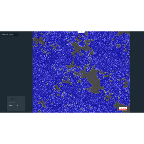 ZEISS Oprogramowanie Moduł Labscope AI Cell Confluency DLic