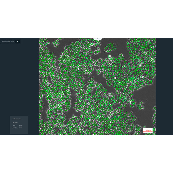 ZEISS Oprogramowanie Moduł Labscope AI Cell Counting DLic
