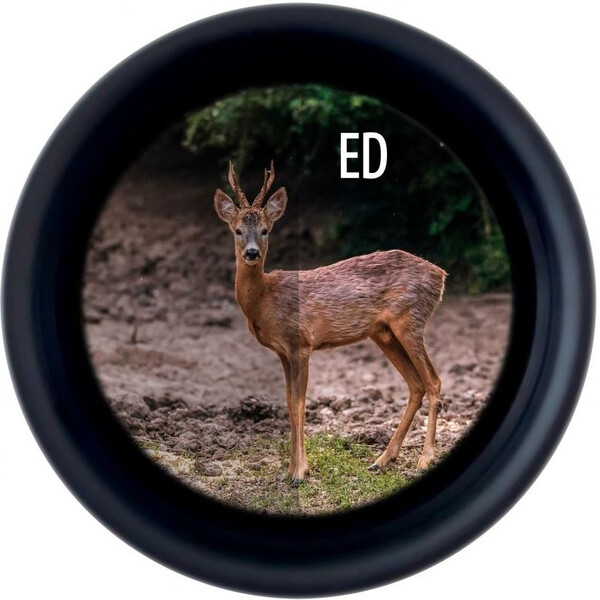 Minox Lornetka X-Tour 10x42