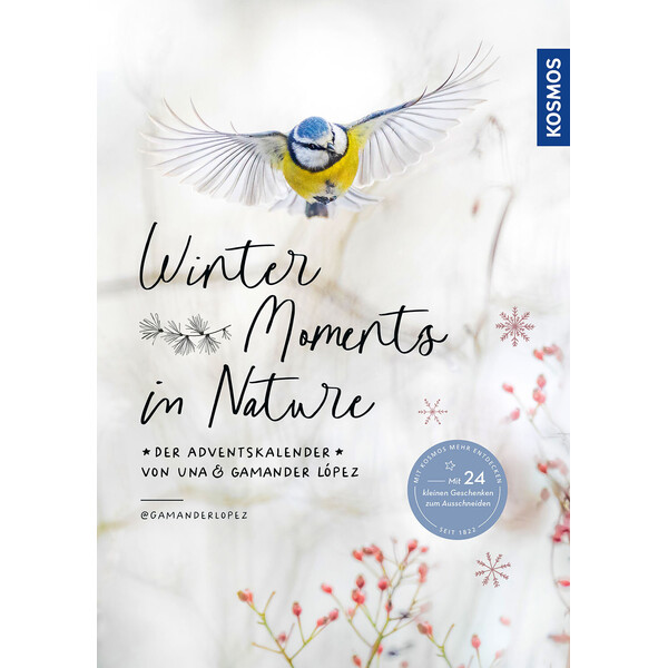 Winter Moments in natura  kalendarz adwentowy