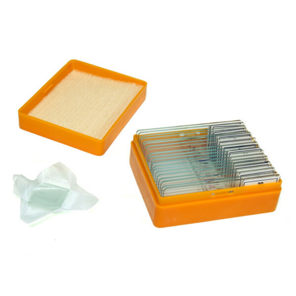 Levenhuk Stałe preparaty N20 NG