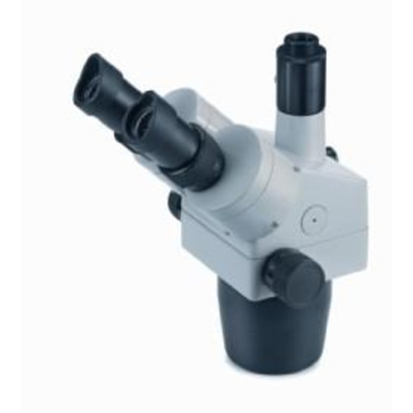 Novex Modularny mikroskop stereoskopowy Głowica zoom RZT, trinokular