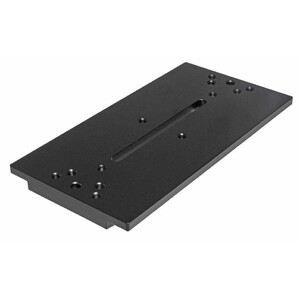 TS Optics Losmandy 200mm dovetail bar