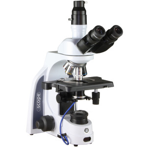 Euromex Mikroskop iScope IS.1153-PLi/DF, trino