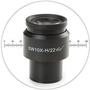 Euromex Okular pomiarowy 10x/22 mm, mikrometr, śr. 30 mm, DX.6210-M (Delphi-X)