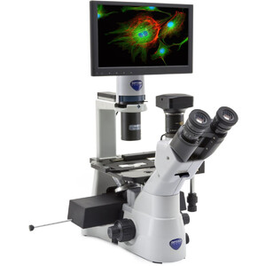 Optika Mikroskop odwrócony IM-3LD4D, 6MP, Display 12", trino, IOS U-PLAN F, LED-FLUO, LWD, 400x, 4 puste gniazda filtrów