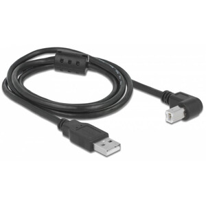 PegasusAstro Kabel Zestaw kabli USB 2x USB2.0 Typ-B 1m