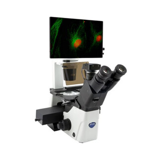 Mikroskop odwrócony IM-300LD4D Digital Inverted LED fluorescence microscope, 400x, IOS LWD PLAN F, 4 empty filterset slots