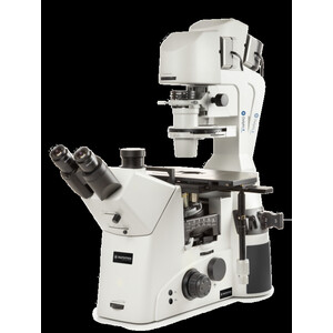 Euromex Mikroskop odwrócony DI.1053-PLPHFi, trino, 100-400x, IOS, LED