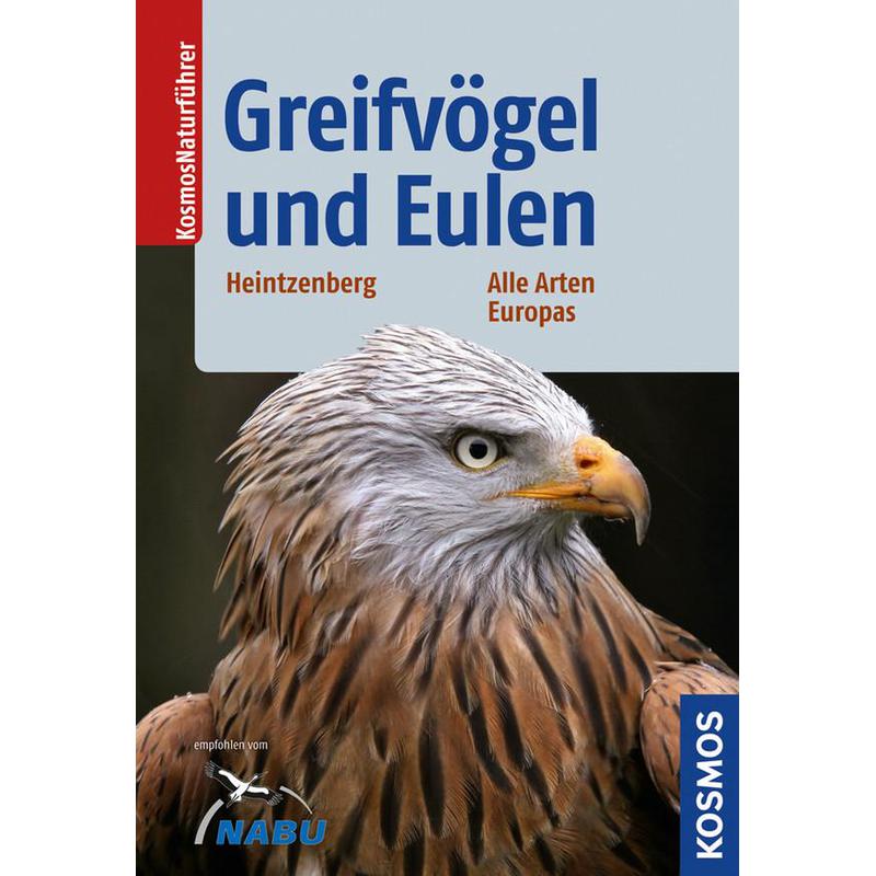 Kosmos Verlag Ptaki drapieżne i sowy. Wszystkie gatunki Europy