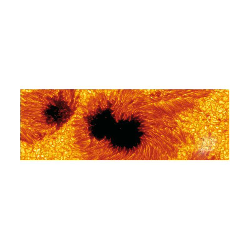 Palazzi Verlag Poster Sun Spots Leinwandprint