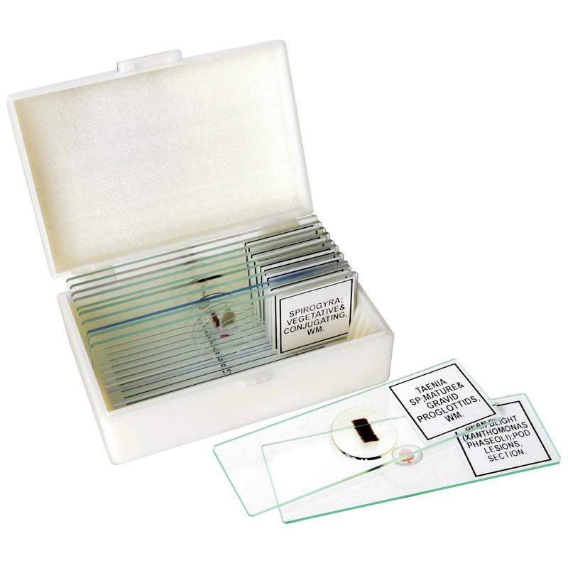 Bresser Zestaw z 12 różnymi preparatami trwałymi