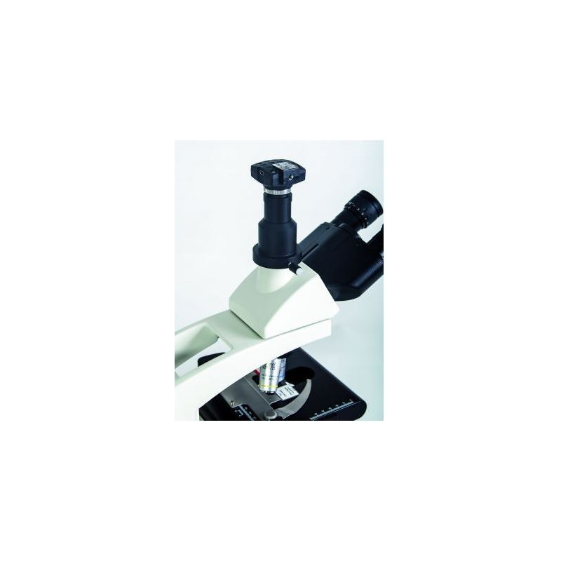 Hund Mikroskop Medicus PH Plan, trino, 100x-1000x