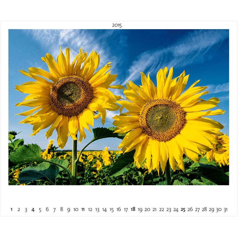 Palazzi Verlag Kalender Naturland Deutschland 2015