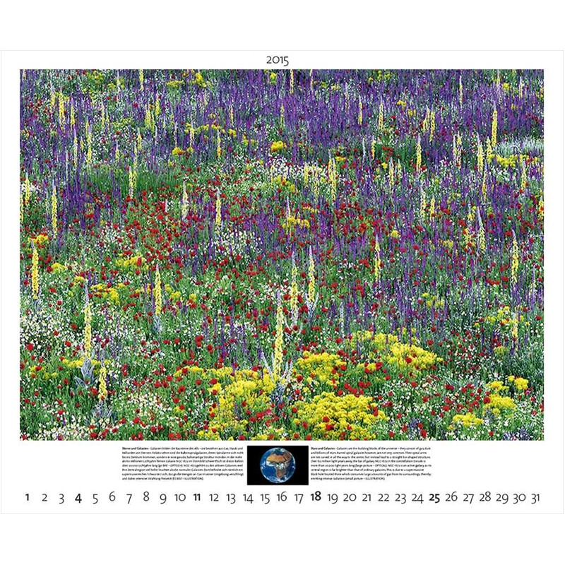 Palazzi Verlag Kalender Planet Erde 2015