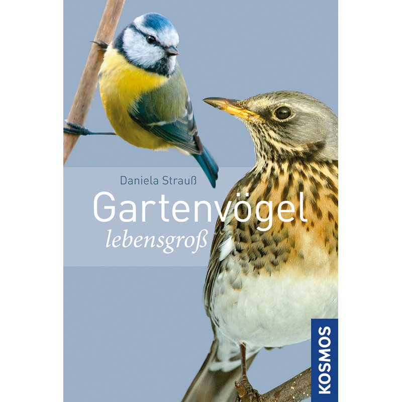 Kosmos Verlag Gartenvögel lebensgroß (Ptaki ogrodowe w skali 1:1)
