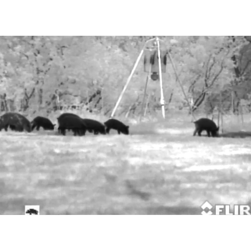 Armasight Kamera termowizyjna Command 336, 8-32x100 (60 Hz)