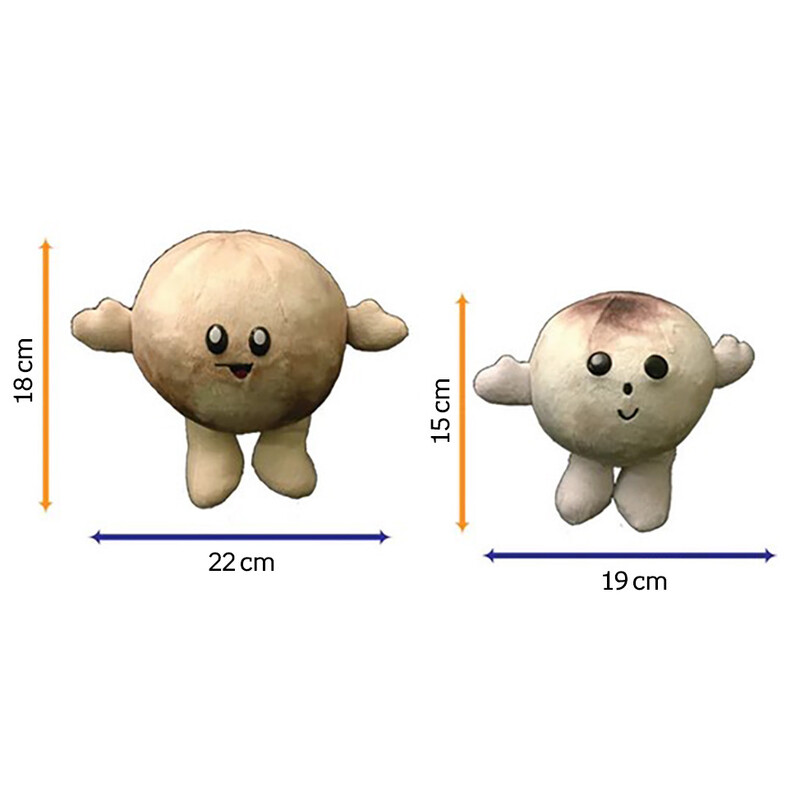 Celestial Buddies Pluto a Charon