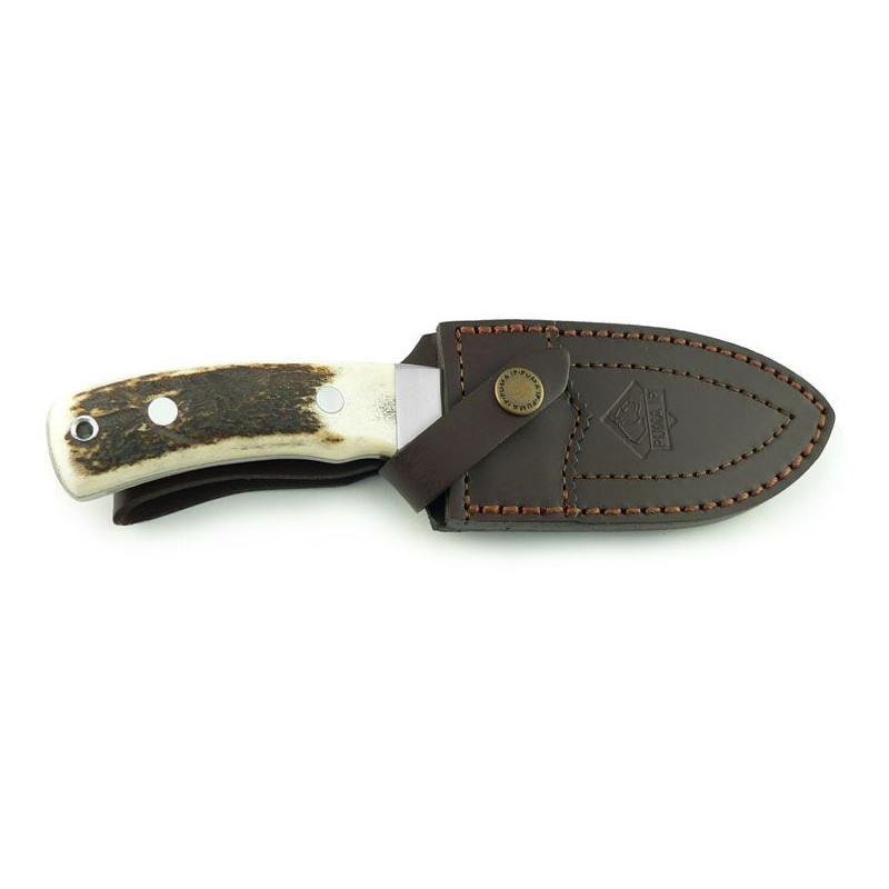 Minox Lornetka Zestaw BL 8x56 HD Dzik