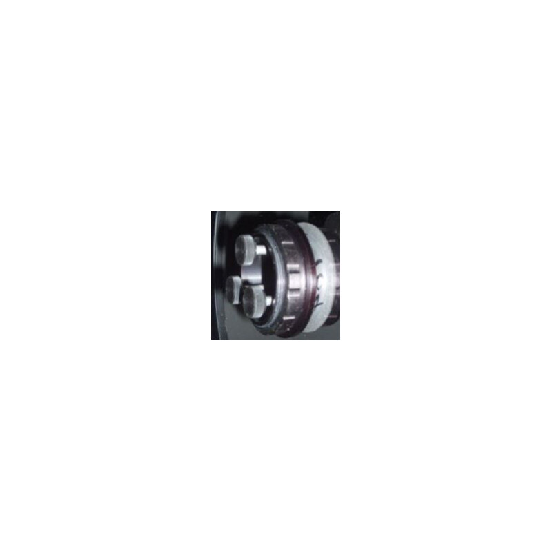 Bobs Knobs Skywatcher Newton 190 wtórny