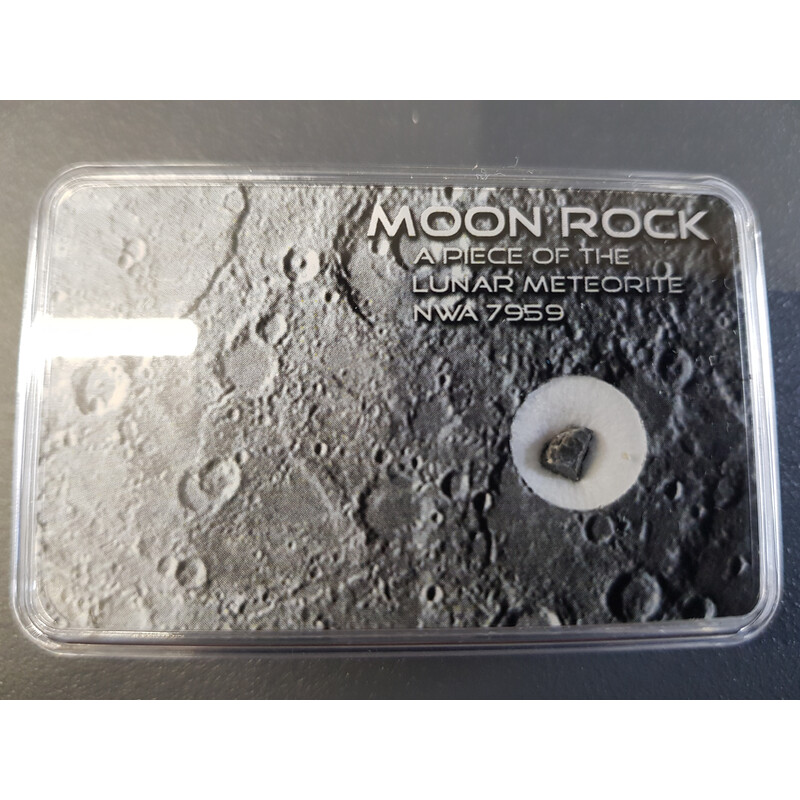 Oryginalny meteoryt księżycowy NWA 7959 L