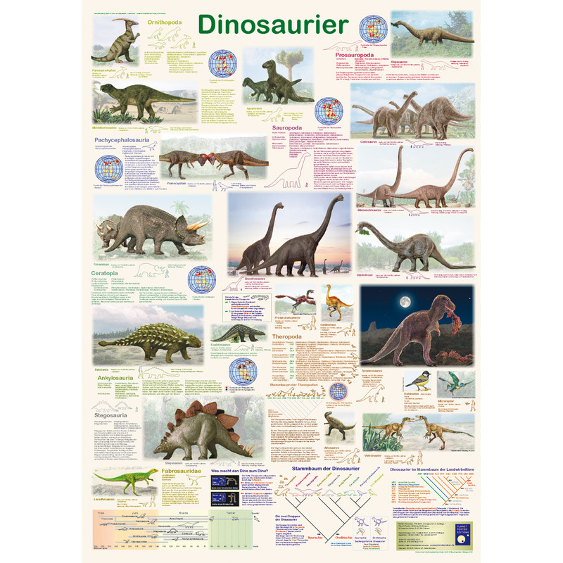 Planet Poster Editions Plakaty Dinosaurier