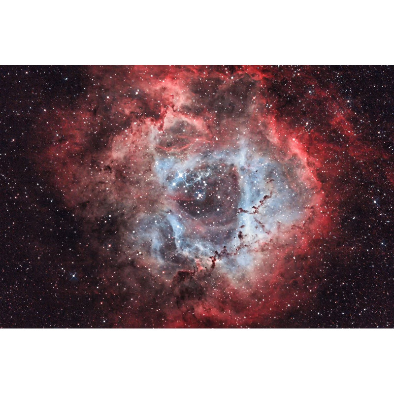 OPT Triad Ultra Quad-Band Narrowband Filtry 1.25"