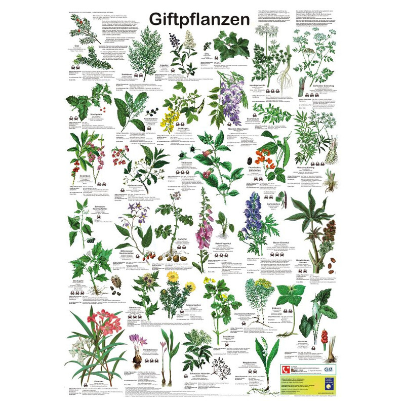 Planet Poster Editions Plakaty Giftpflanzen