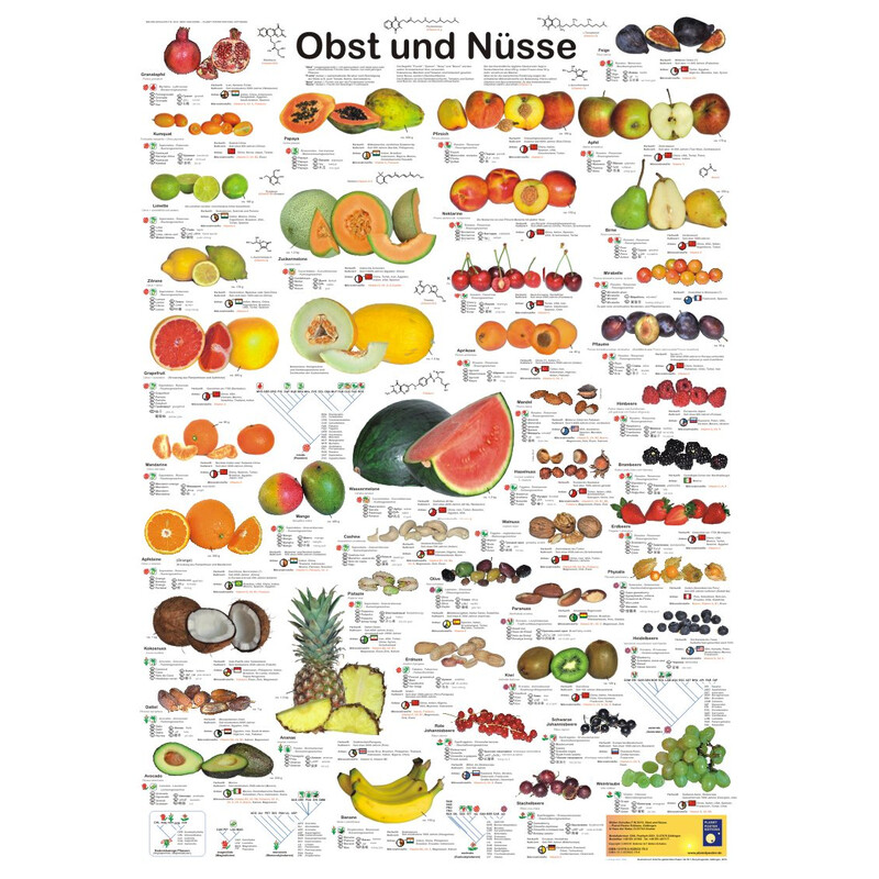 Planet Poster Editions Plakaty Obst und Nüsse