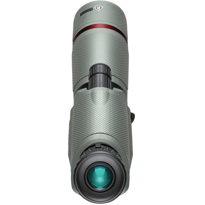 Bushnell Luneta Nitro 20-60x65