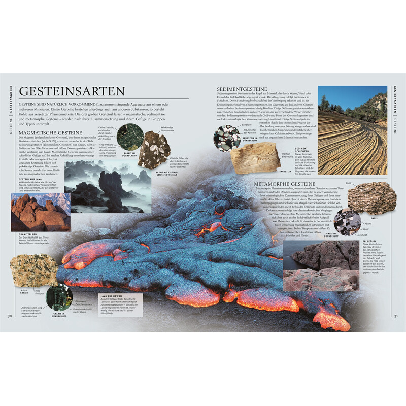 Dorling Kindersley Steiner & Minerals