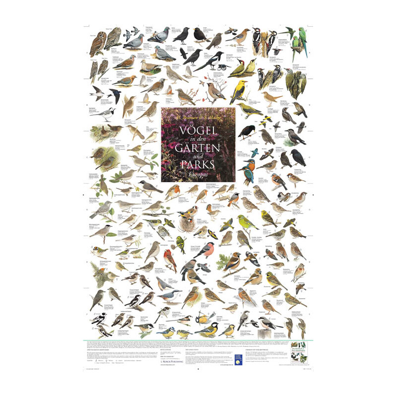 Planet Poster Editions Plakaty Vögel in den Gärten und Parks Europas
