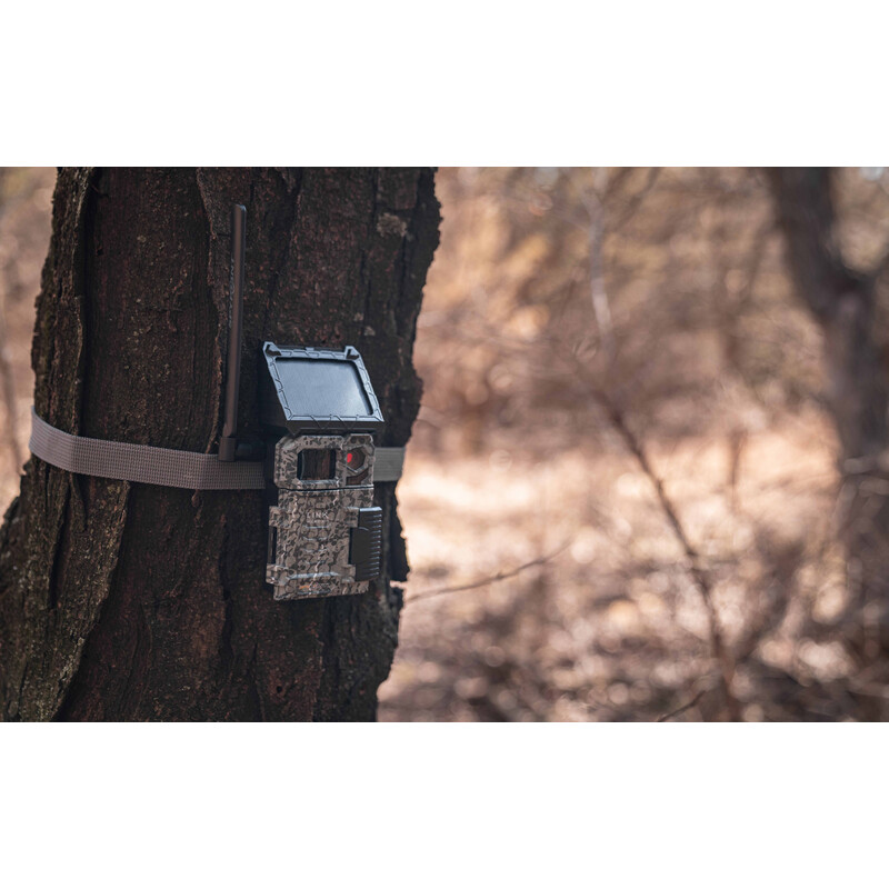 Spypoint Kamera do obserwacji dzikich zwierząt Link Micro S LTE