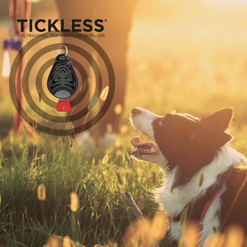 Tickless Zwierzę