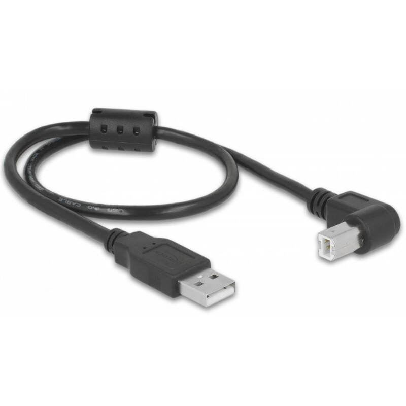 PegasusAstro Zestaw kabli USB 2x USB2.0 Typ-B 50cm