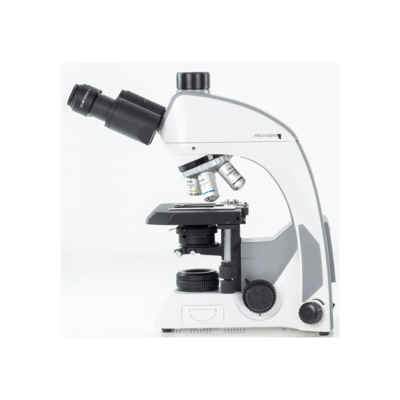 Motic Mikroskop Panthera C, trino, infinity, plan, achro, 40x-1000x, Halogen
