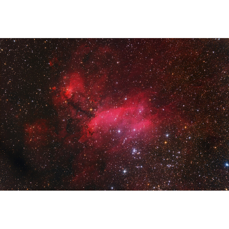 Omegon Aparat fotograficzny Kamera veTEC 410 C Color