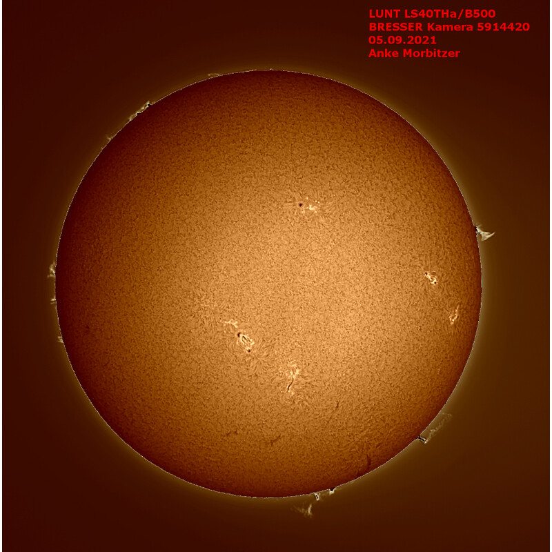 Lunt Solar Systems Teleskop do obserwacji słońca ST 40/400 LS40T Ha B500 R&P
