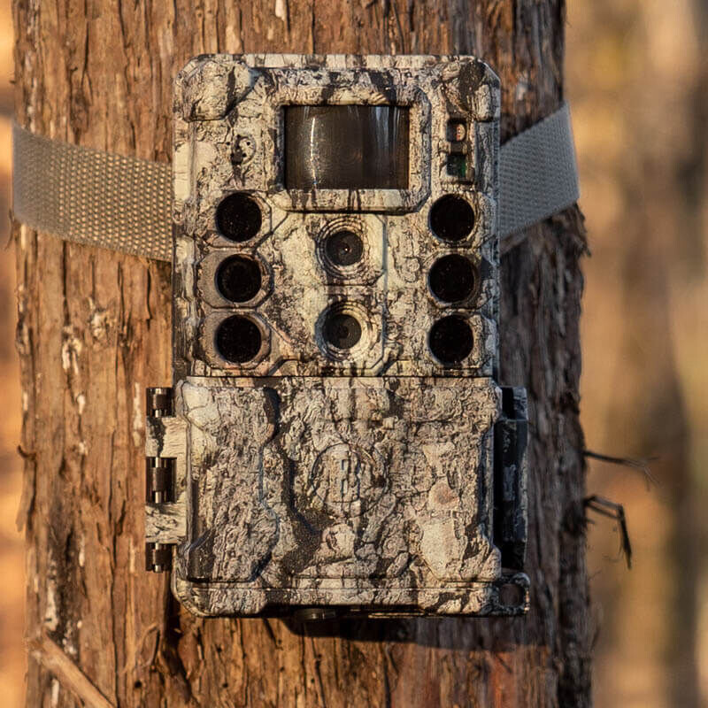Bushnell Kamera do obserwacji dzikich zwierząt 32MP CORE DS4K Tree Bark Camo No Glow, Box 5L