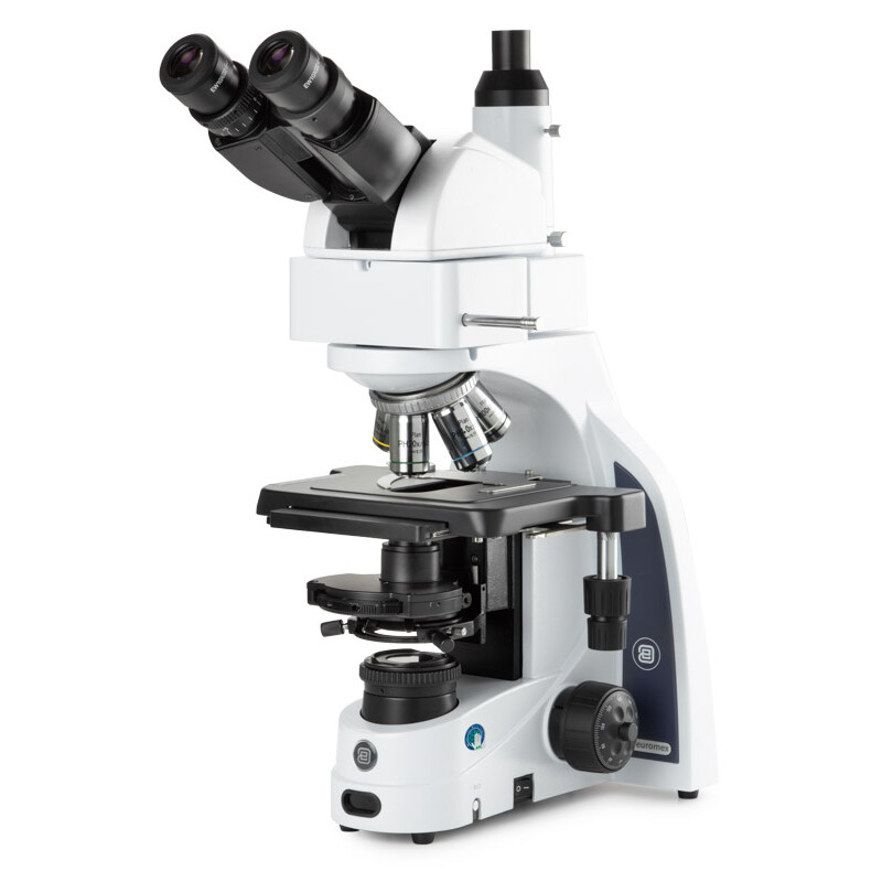 Euromex Mikroskop iScope IS.1159-PLPHi, Bino + Phototubus, infinity, Plan Phase IOS 100x-1000x, 10x/22 DL, Köhler LED