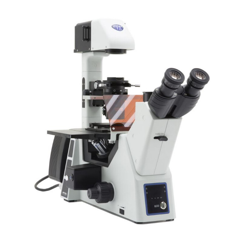 Optika Mikroskop odwrócony IM-5FLD, FL, trino, invers, 10x24mm,  AL/DL, LED 5W, 8W w.o. objectives