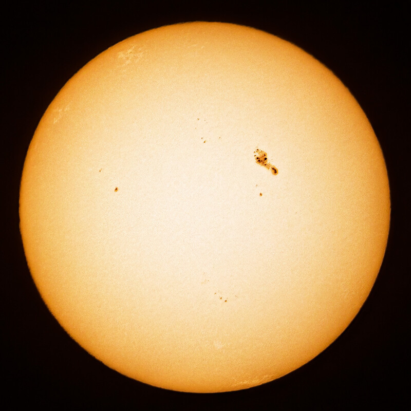 Wega Telescopes Filtry słoneczne Sonnenfilter für Sigma 150-600 Objektiv ND3.8