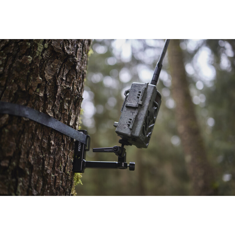 ZEISS Kamera do obserwacji dzikich zwierząt Secacam 5