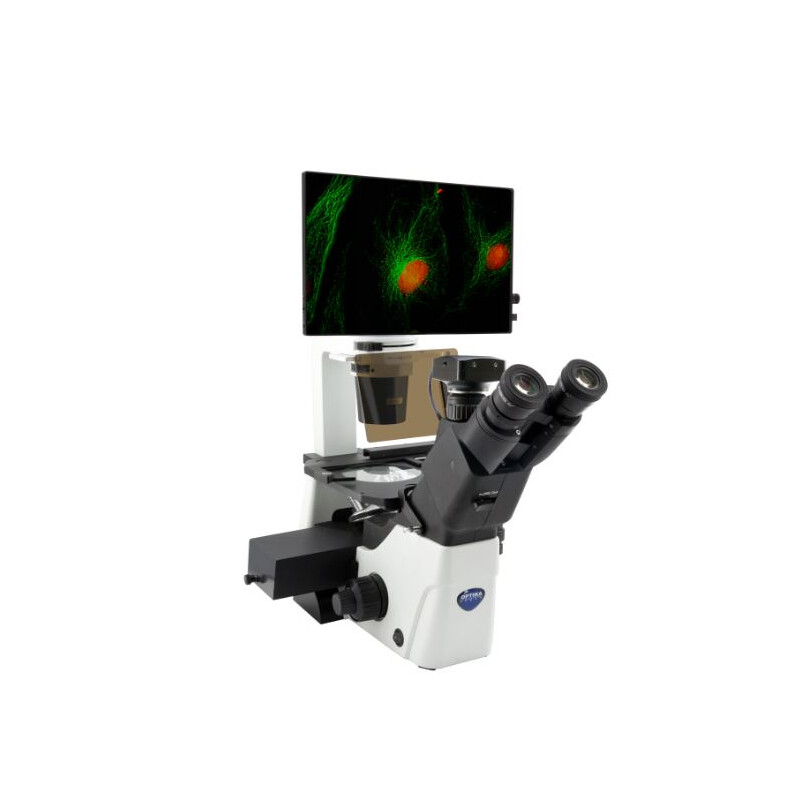 Mikroskop odwrócony IM-300LD4D Digital Inverted LED fluorescence microscope, 400x, IOS LWD PLAN F, 4 empty filterset slots