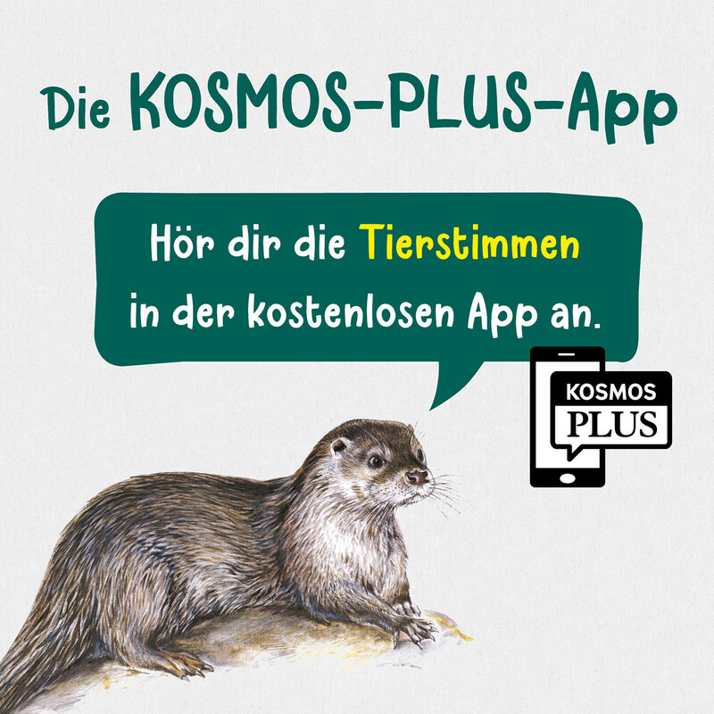 Kosmos Verlag Co żyje w strumieniach i stawach?