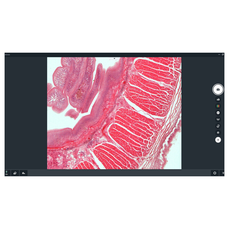 ZEISS Oprogramowanie Moduł Labscope Multi Channel DLic