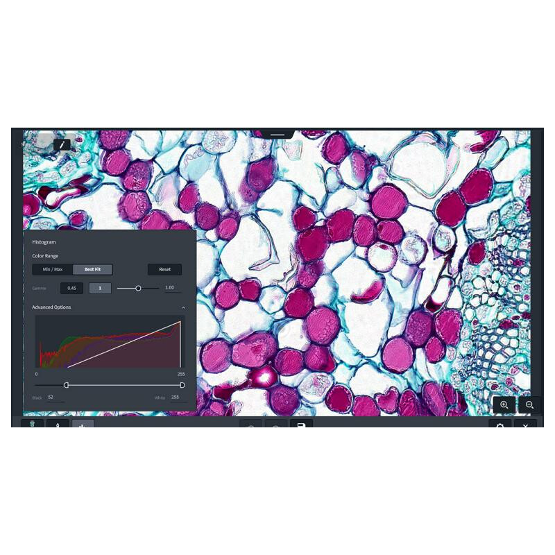 ZEISS Oprogramowanie Moduł Labscope Multi Channel DLic