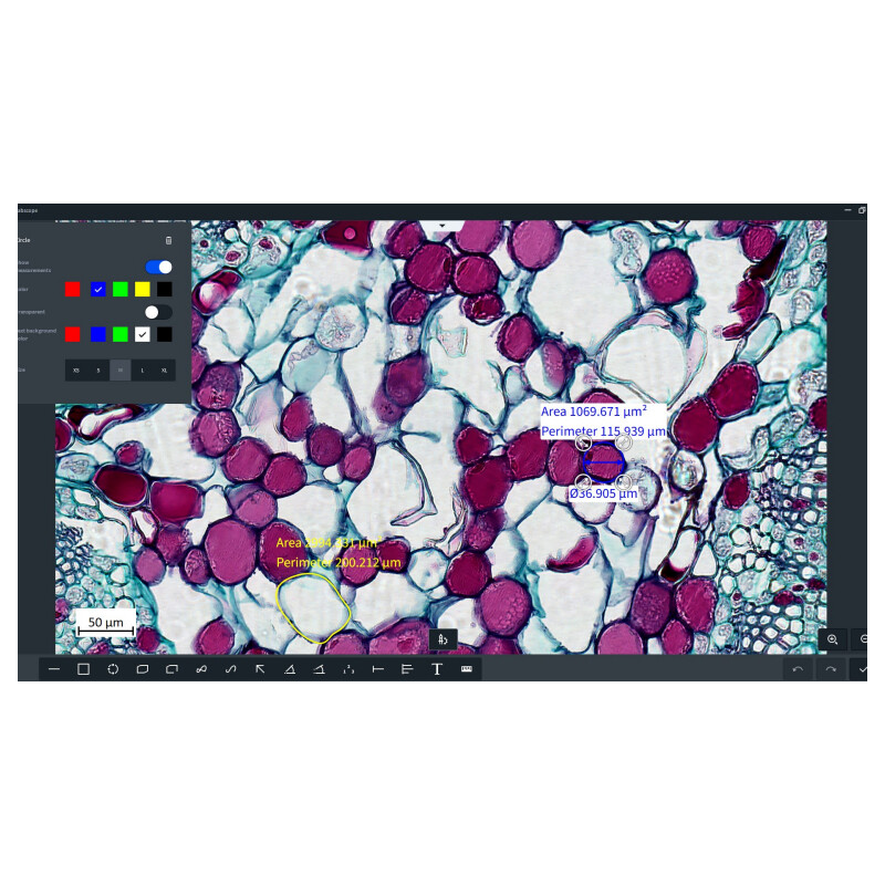 ZEISS Oprogramowanie Moduł Labscope Multi Channel DLic