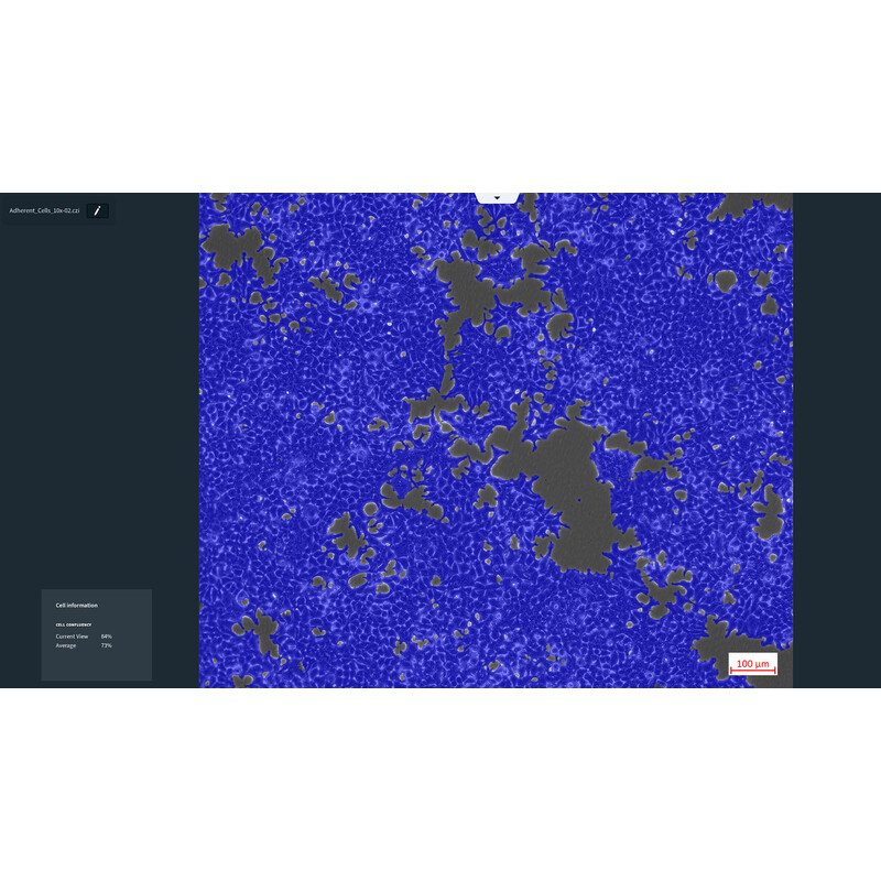 ZEISS Oprogramowanie Moduł Labscope AI Cell Confluency DLic