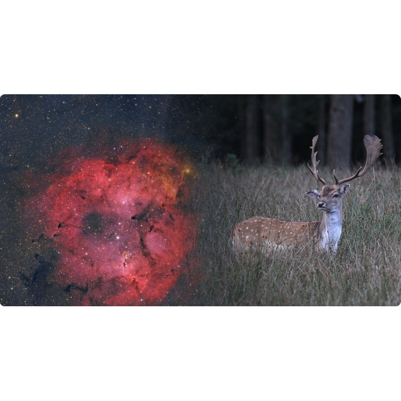 ToupTek Refraktor apochromatyczny HOPE D60 60/280 Tilter